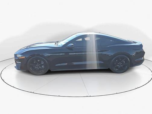 Shadow Black 2019 Ford Mustang GT Premium