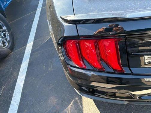Shadow Black 2019 Ford Mustang GT Premium