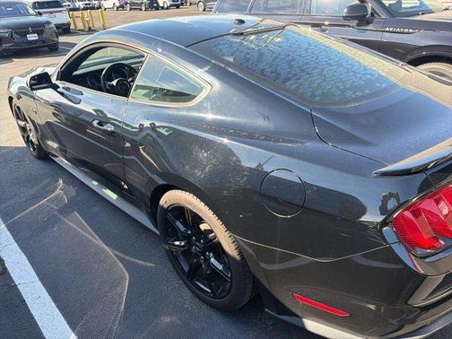 Shadow Black 2019 Ford Mustang GT Premium