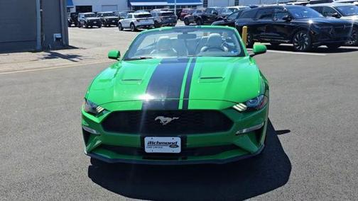 Need for Green 2019 Ford Mustang EcoBoost Premium