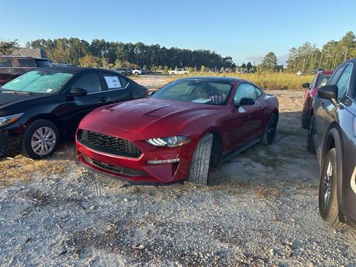 2021 Ford Mustang EcoBoost