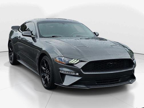 Magnetic 2019 Ford Mustang EcoBoost Premium