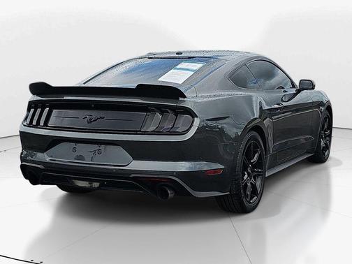 Magnetic 2019 Ford Mustang EcoBoost Premium