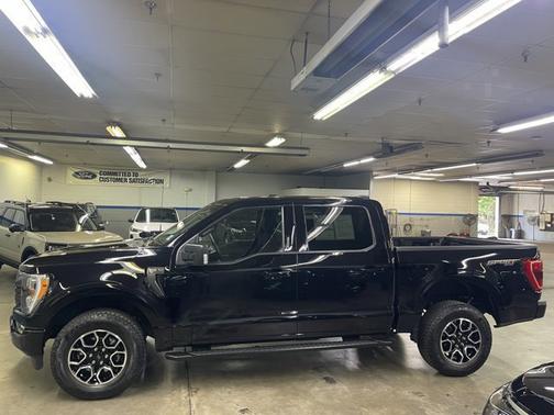 AGATE BLACK METALLIC 2023 Ford F-150 XL