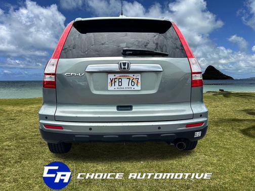 Opal Sage Metallic 2010 Honda CR-V EX-L