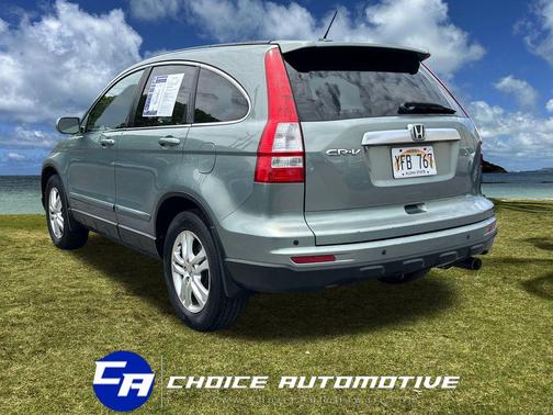 Opal Sage Metallic 2010 Honda CR-V EX-L