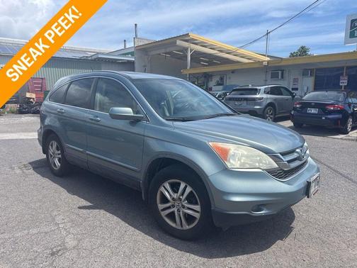 Opal Sage Metallic 2010 Honda CR-V EX-L