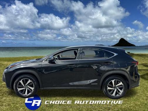 2019 Lexus NX 300h Base