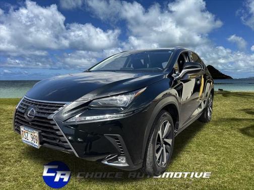 2019 Lexus NX 300h Base