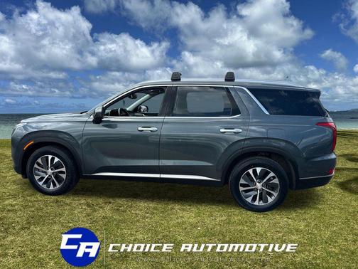 Rainforest 2022 Hyundai PALISADE SEL