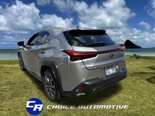 2019 Lexus UX 200 F Sport