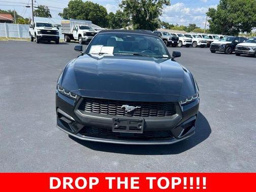 Shadow Black 2024 Ford Mustang EcoBoost Premium