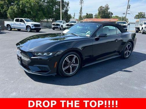 Shadow Black 2024 Ford Mustang EcoBoost Premium
