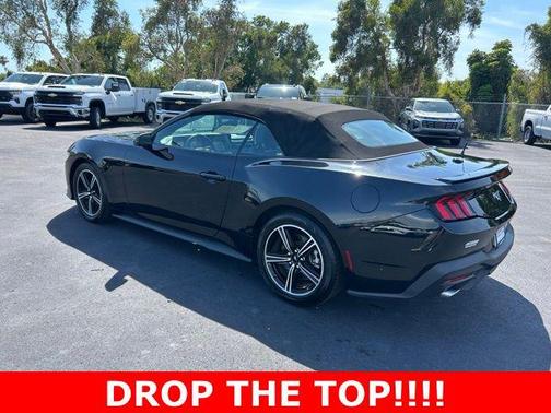 Shadow Black 2024 Ford Mustang EcoBoost Premium