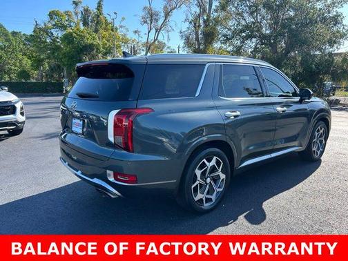 Rainforest 2022 Hyundai PALISADE Calligraphy