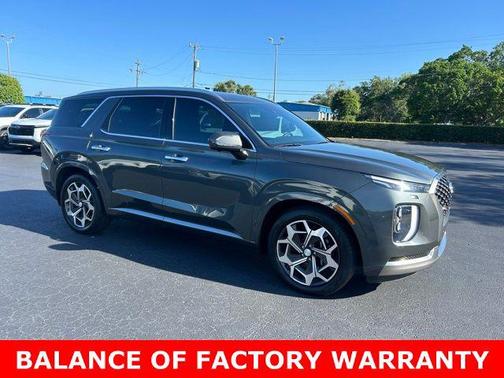 Rainforest 2022 Hyundai PALISADE Calligraphy