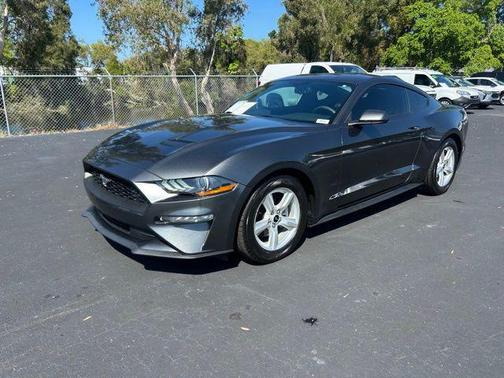 2019 Ford Mustang EcoBoost