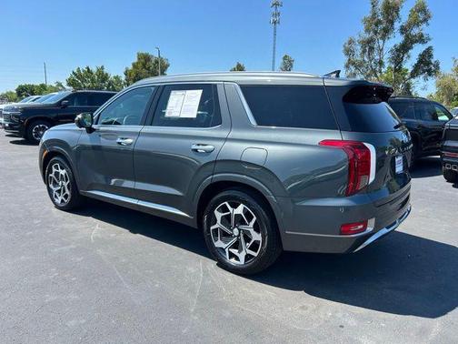 Rainforest 2022 Hyundai PALISADE Calligraphy