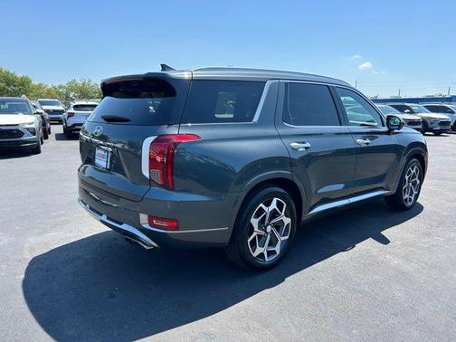 Rainforest 2022 Hyundai PALISADE Calligraphy