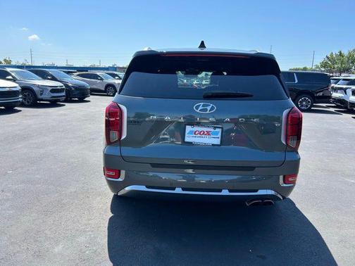 Rainforest 2022 Hyundai PALISADE Calligraphy