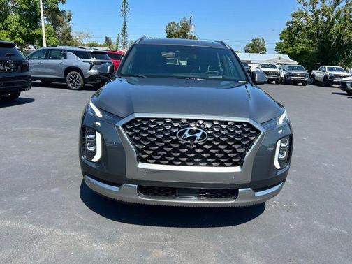 Rainforest 2022 Hyundai PALISADE Calligraphy