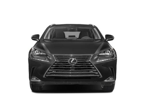 Gray Pearl 2018 Lexus NX 300 Base