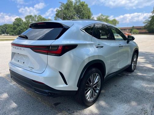 2022 Lexus NX 350 Luxury
