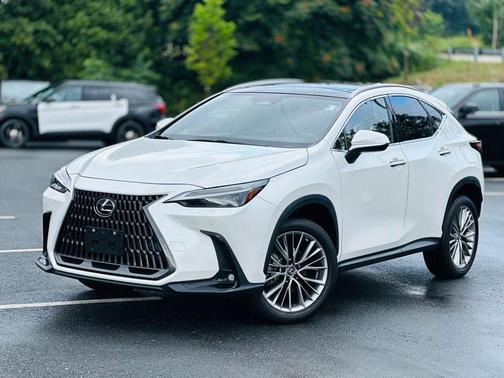 2022 Lexus NX 350 Luxury