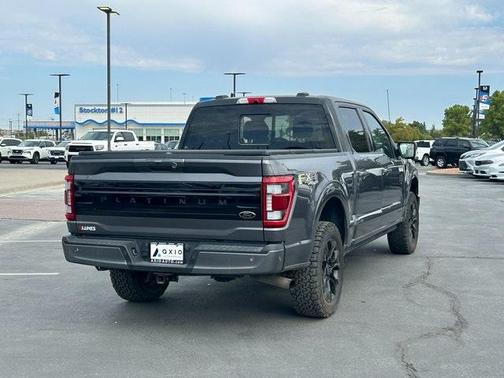 2022 Ford F-150 Platinum