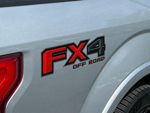 Silver 2019 Ford F-150 Platinum