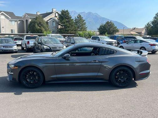 Magnetic 2019 Ford Mustang EcoBoost Premium