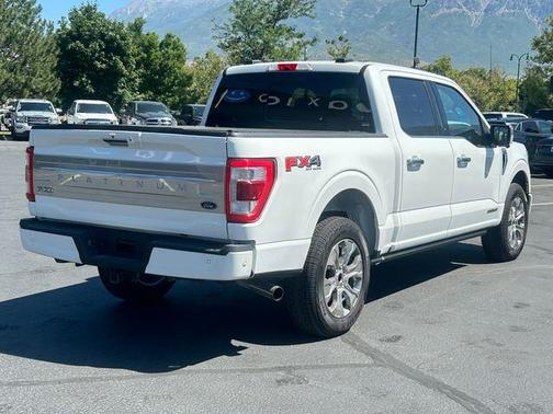 2021 Ford F-150 Platinum
