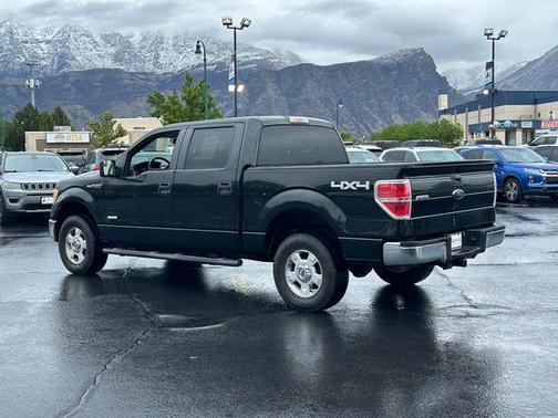 Black 2014 Ford F-150 Limited