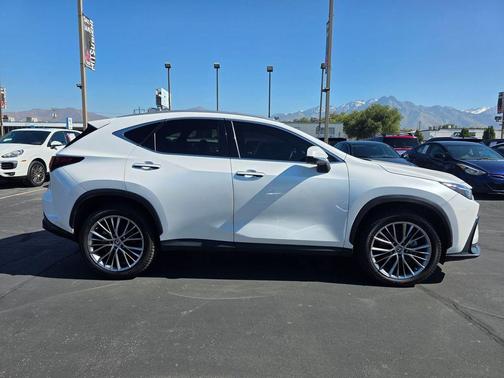 2022 Lexus NX 350 Luxury