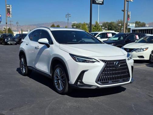 2022 Lexus NX 350 Luxury