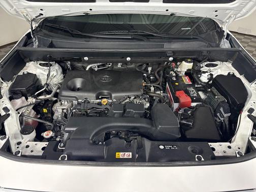 Ice Cap 2023 Toyota RAV4 XLE