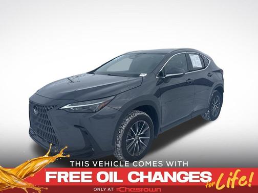 2024 Lexus NX 350 Base