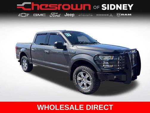Magnetic 2017 Ford F-150 XLT
