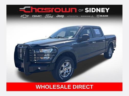 Magnetic 2017 Ford F-150 XLT