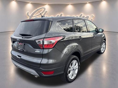 Magnetic 2017 Ford Escape SE