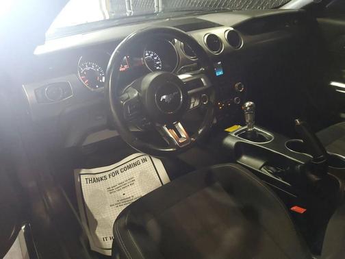 Magnetic 2018 Ford Mustang GT