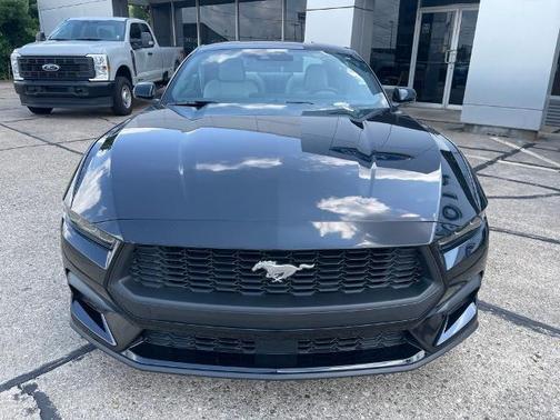 SHADOW BLACK 2025 Ford Mustang ECOBOOST PREMIUM
