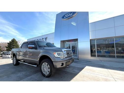 Sterling Gray Metallic 2013 Ford F-150 Platinum