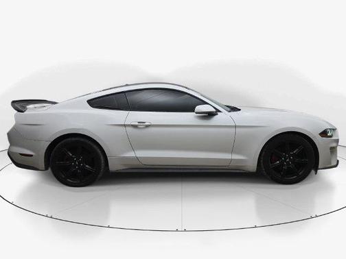 Oxford White 2019 Ford Mustang EcoBoost
