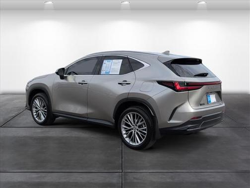 2025 Lexus NX 350h Premium