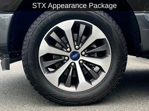 Magnetic 2019 Ford F-150 XL