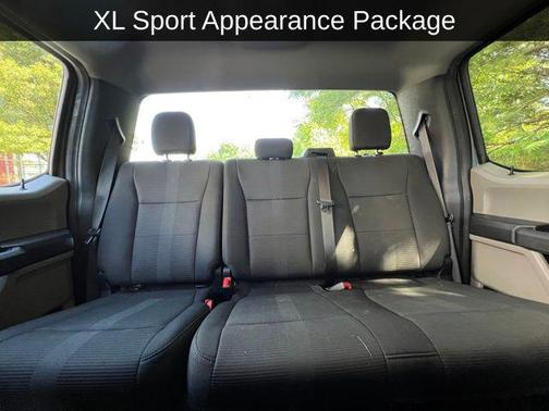 Magnetic 2019 Ford F-150 XL
