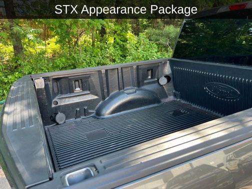 Magnetic 2019 Ford F-150 XL