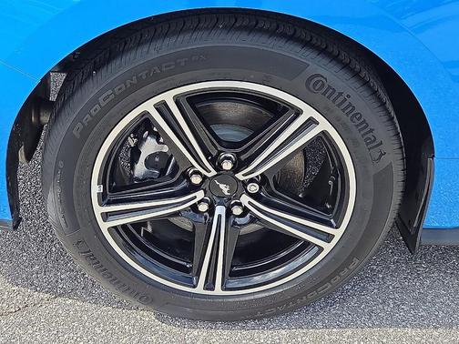 Grabber Blue 2025 Ford Mustang EcoBoost