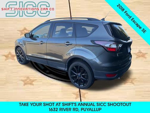 Magnetic 2018 Ford Escape SE